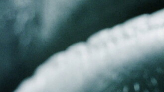 An Architecture of Desire Trailer