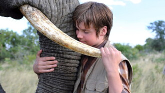 An Elephant's Journey Trailer