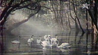 An Extraordinary Story Like a Fairy Tale Trailer