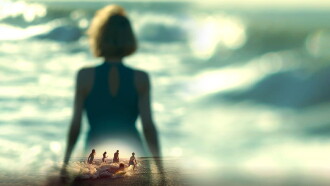 An Ocean Blue Trailer