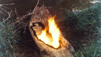 Ana Mendieta: Fuego de Tierra Trailer