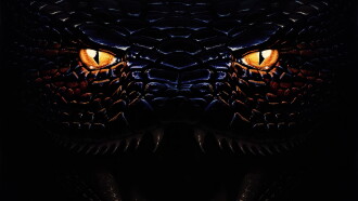 Anaconda Trailer