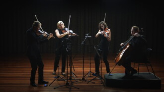 Anatomy of a String Quartet Trailer