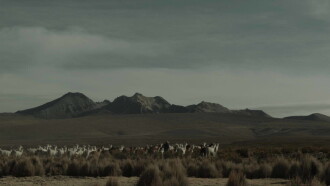 Andean Sheperdess Trailer