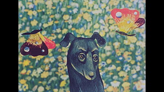 Andriesh Trailer