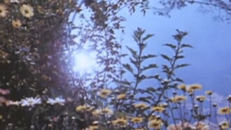 Angel Trailer