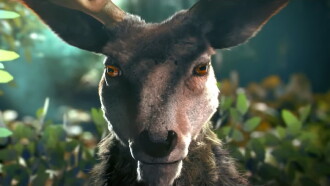 Anima Trailer