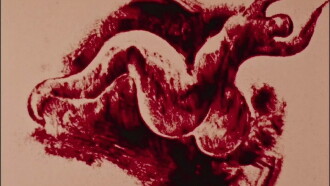 Anima Trailer
