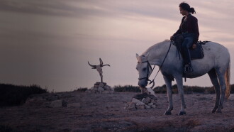 Animale Trailer