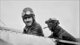 Animals Aloft Trailer