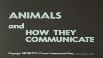 Animals and How They Communicate Trailer
