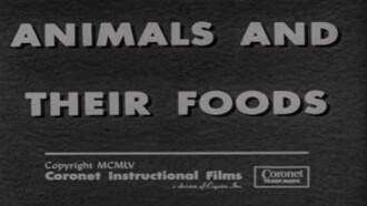 Animals and Their Foods Trailer