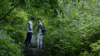 Annapurna Trailer