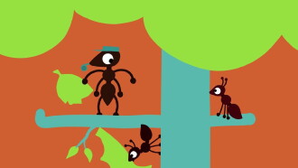 Ant Trailer