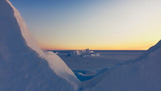 Antarctica Trailer