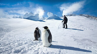 Antarctica: A Year on Ice Trailer