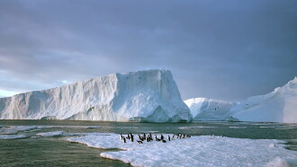 Antarctica: On the Edge Trailer