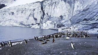 Antarctica: The Frozen Time Trailer