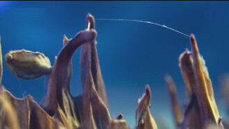 Antarctica: The Frozen Time Capsule Trailer