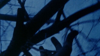 Anticipation of the Night Trailer