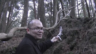 Aokigahara Jukai: Complete Document 2017 - The Curse You Don't Know Trailer