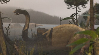 Apatosaurus Trailer