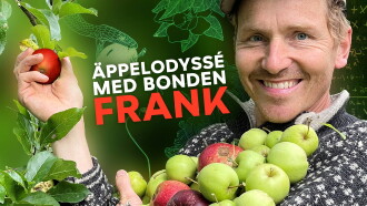 Apple picking with Frank Erichsen Trailer
