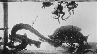 Aquarium Trailer