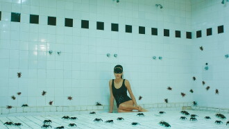 Arachnids Trailer