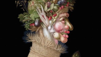 Arcimboldo - Portrait Of An Audacious Man Trailer