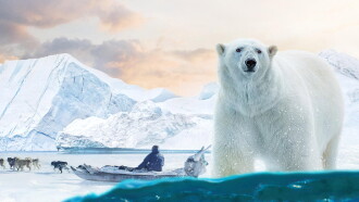 Arctic: Our Frozen Planet Trailer