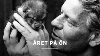Året på ön Trailer