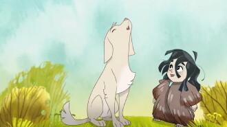 Arf Trailer