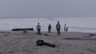 Arlo Trailer