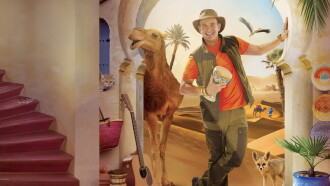 Arthur L'Aventurier : Les trésors du Maroc Trailer