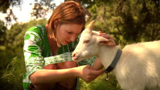 Artois the Goat Trailer
