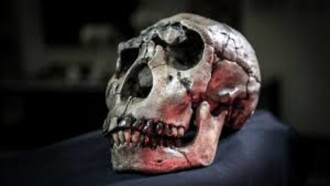 Atapuerca: El Misterio De La Evolucion Humana Trailer