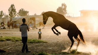 Atlan Trailer