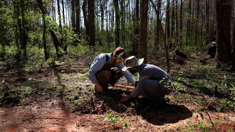 Atlanta Forest Garden: Four Days of Work Trailer