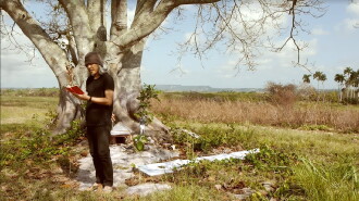 Atravesando el campo Trailer