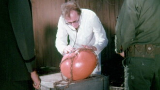 Attack of the Killer Tomatoes! Trailer
