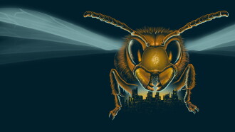 Attack of the Murder Hornets Trailer