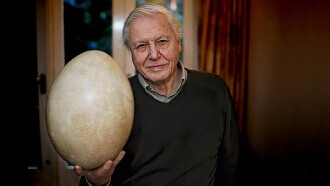 Attenborough and the Giant Egg Trailer