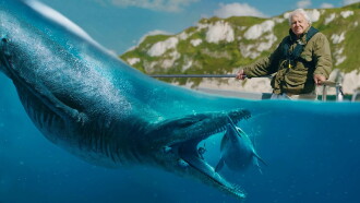 Attenborough and the Giant Sea Monster Trailer