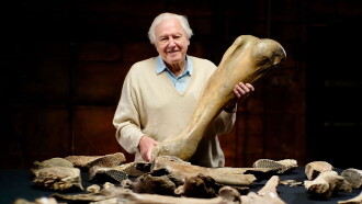 Attenborough and the Mammoth Graveyard Trailer