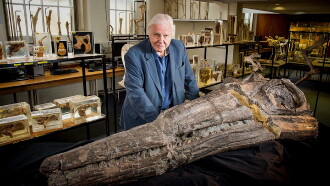 Attenborough and the Sea Dragon Trailer