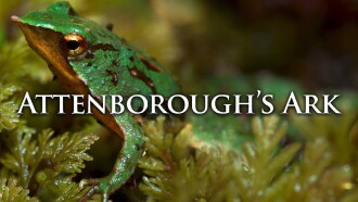 Attenborough's Ark Trailer