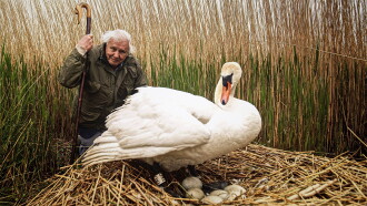 Attenborough's Wonder of Eggs Trailer