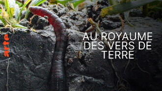 Au royaume des vers de terre: La vie du sol dévoilée Trailer