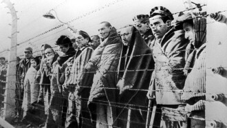 Auschwitz Trailer